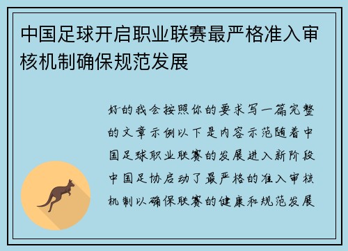 中国足球开启职业联赛最严格准入审核机制确保规范发展